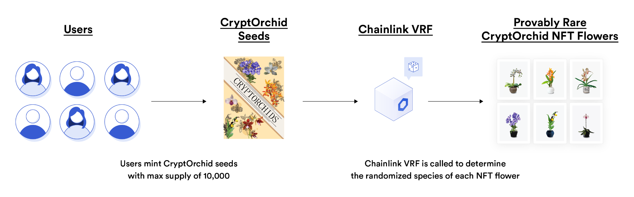 CryptOrchid uses Chainlink VRF to mint provably rare NFTs